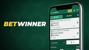Discovering the BetWinner Platform An Ultimate Betting Experience